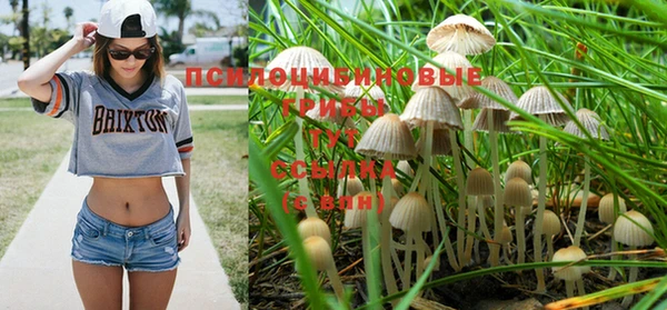 прущие крисы Волоколамск