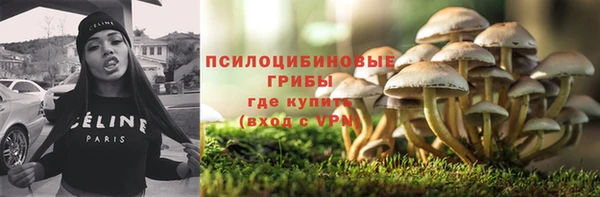 гашик Волосово