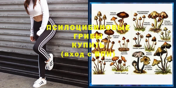молекула духа Володарск