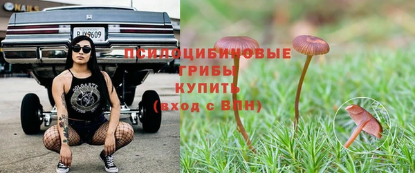 гашик Волосово