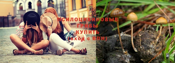 прущие крисы Волоколамск