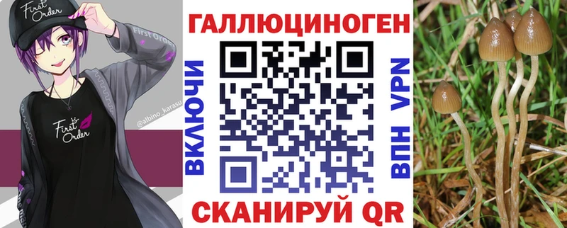магазин    Сургут  Галлюциногенные грибы прущие грибы 